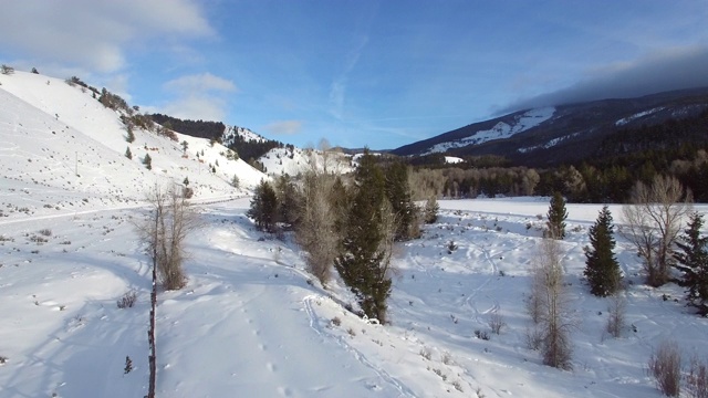 鸟瞰图上的树在雪覆盖的景观对天空，无人机向前移动在白色的土地在冬天-杰克逊，怀俄明州视频素材