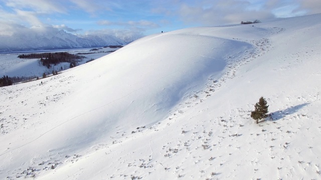 鸟瞰图上的树在雪山对天空，田园诗般的美丽的白色风景与无人机向前移动-杰克逊，怀俄明州视频素材