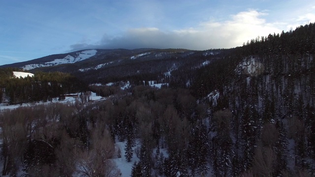 空中拍摄的常绿树木在森林与天空的雪，风景的绿色景观-杰克逊，怀俄明州视频素材