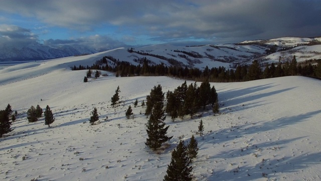 鸟瞰图上的树在雪山对天空，无人机向前移动在美丽的白色风景-杰克逊，怀俄明州视频素材