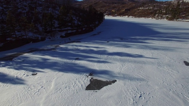 游客站在雪地上靠在树上的鸟瞰图，人们在冬天探索森林——新墨西哥州的拉顿视频素材