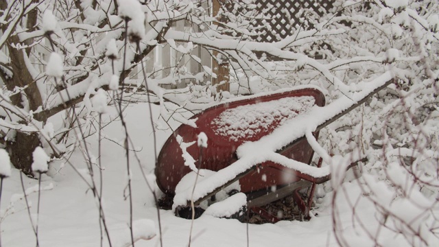 早春降雪视频下载