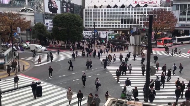 日本东京涩谷十字路口视频素材