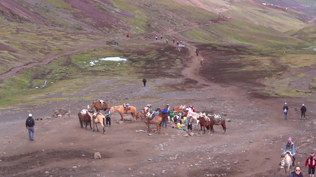 封锁拍摄的徒步旅行者与马在小径上的山，游客探索风景-彩虹山，秘鲁视频素材