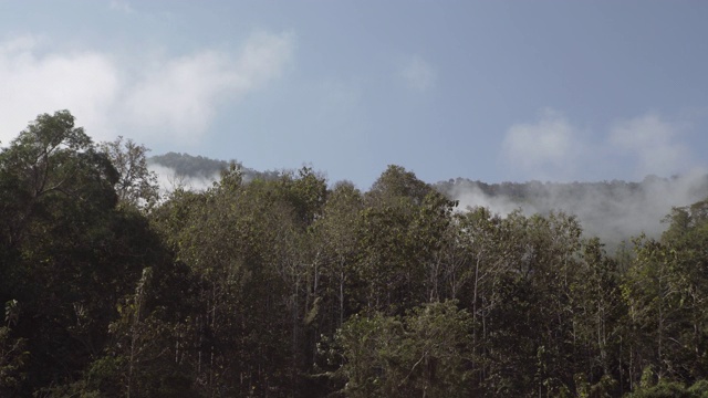 老挝琅勃拉邦，阳光明媚的一天，天空湛蓝，云层中绿树的照片视频素材