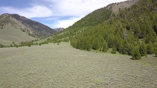 空中拍摄的树木在山谷中山脉对天空，无人机在阳光明媚的一天在绿色的景观上方向前飞行-博伊西，爱达荷州视频素材