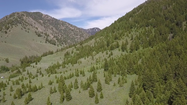 空中拍摄的树木在山谷中山脉对天空，无人机向后飞行在绿色的景观在阳光明媚的一天-博伊西，爱达荷州视频素材