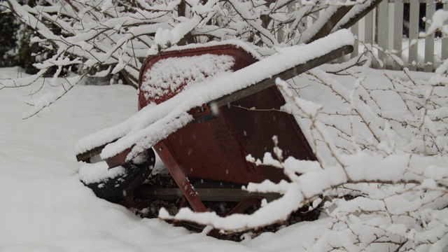 早春降雪视频下载