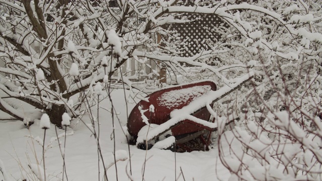 早春降雪视频素材