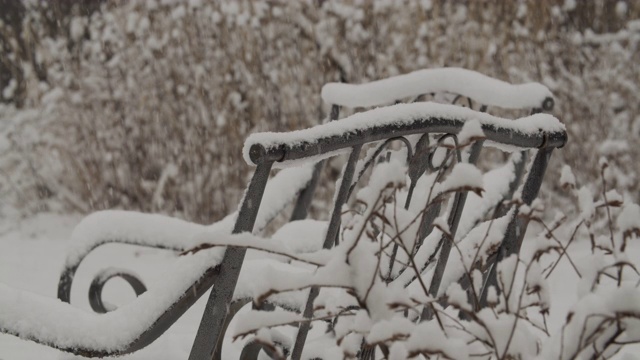 早春降雪视频素材