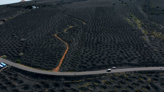 兰萨罗特火山土壤上的葡萄园，鸟瞰图视频素材