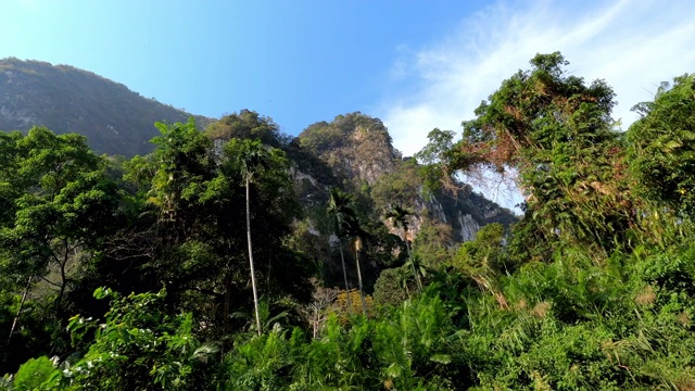 泰国高山和丛林的美丽景色视频下载