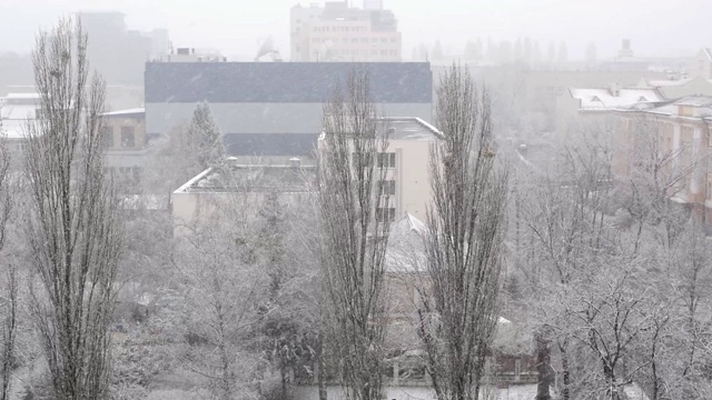 突如其来的降雪席卷了这座城市。白色的蓬松的雪覆盖了广场，街道和房子的城市景观。视频素材