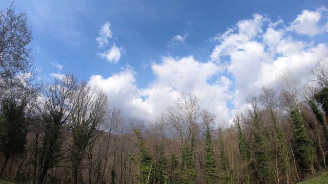 天空和森林的时间流逝视频素材