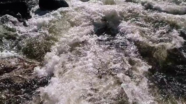 秋天森林中的河流。鸟瞰图视频下载