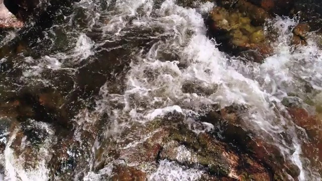 秋天森林中的河流。鸟瞰图视频素材