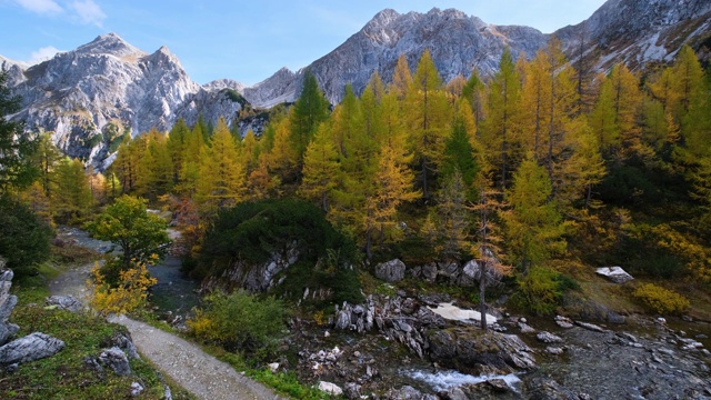 秋天高山溪流和塔彭卡湖，Kleinarl，奥地利视频素材