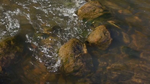 特写的河流流过石头。视频素材