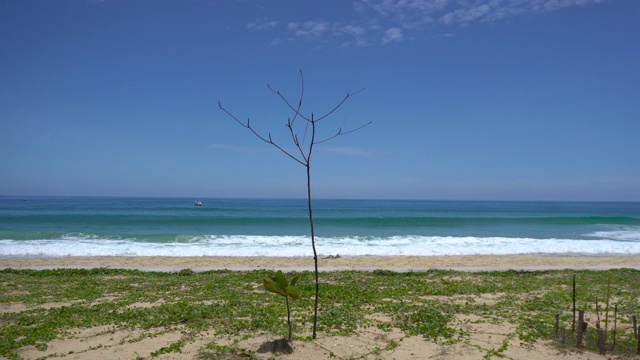 在泰国普吉岛，夏日阳光下的风景海滩和大海视频素材