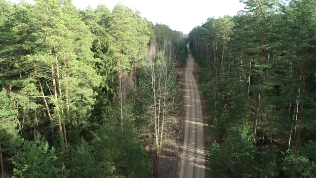 森林背景下的漫长乡村道路视频下载