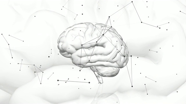 人脑的数字数据和网络连接。3 d动画。视频素材