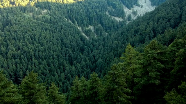 鸟瞰图的自然森林和山视频素材