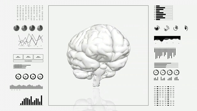 医用超高清抽象动画。实验室仪表板界面。人脑在诊断电脑显示器上的研究。视频素材