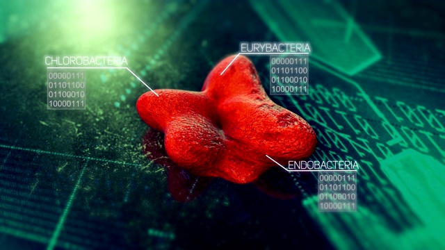 细菌学物质、微生物、诊断危险病毒三维细菌视频动画视频素材