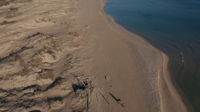 野生沙滩，沙丘和清澈的海水视频素材