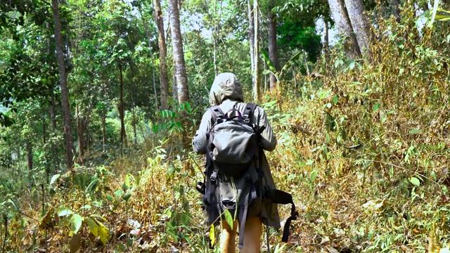 女人走到森林里去爬山。视频素材