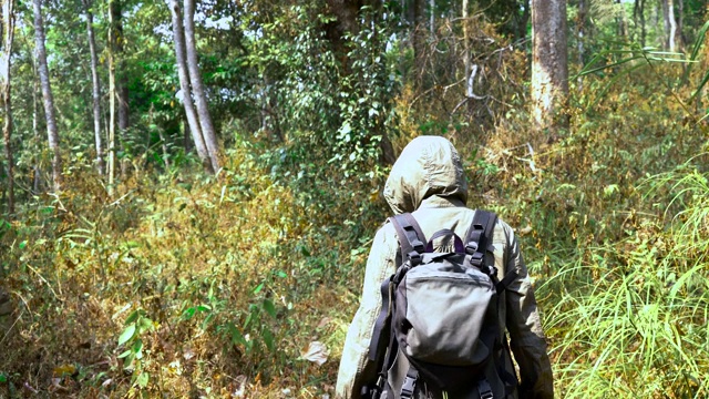 女人走到森林里去爬山。视频素材