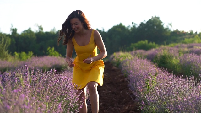 薰衣草地里的美丽年轻女人视频素材