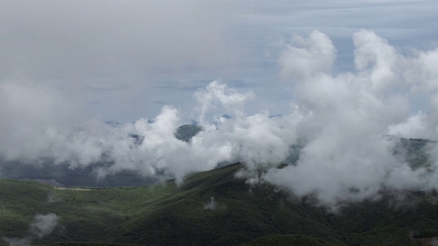 在喀斯喀特山脉，华盛顿州森林上空的云鸟瞰图。视频素材