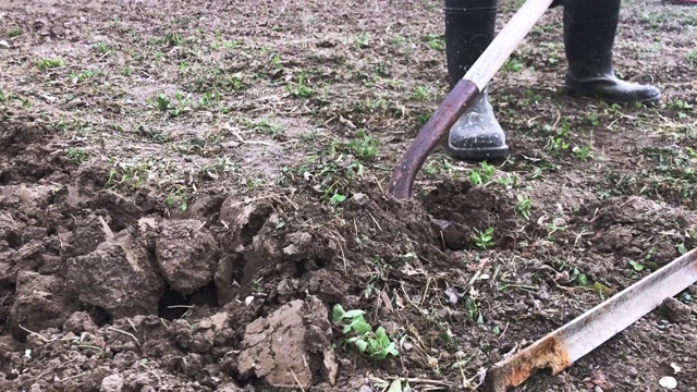 千禧年成年女性耕作土壤种植和园艺视频素材