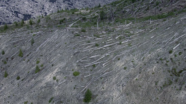 鸟瞰图，森林砍伐地区在山坡附近的精灵湖，华盛顿。视频素材