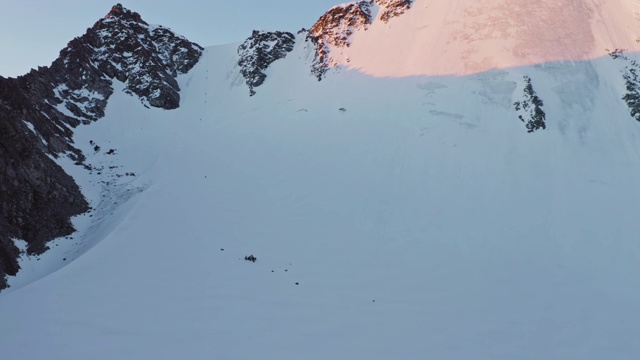 登山运动员在陡峭的雪墙脚下，在粉红色的黎明攀登岩石山脉视频素材