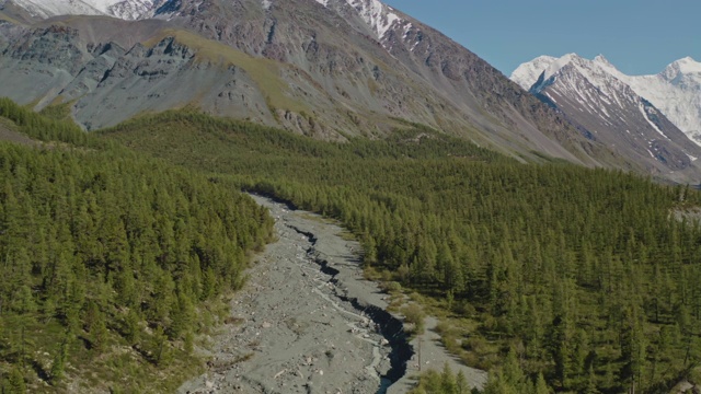 冰川溪在雪山脚下的绿林中流过卵石河床视频素材