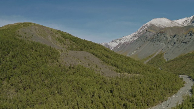 山坡全景，阳光充足的山坡上有茂密的针叶林，雪白的卵石视频素材