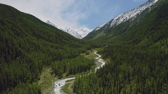 壮丽的空中全景图，白雪皑皑的别鲁卡山越过茂密的森林，乳白色的河流视频素材