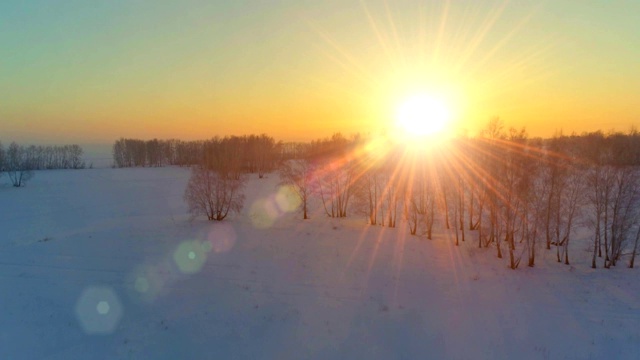 无人机拍摄的北极地区寒冷的冬季景观，树木被霜雪覆盖，清晨的阳光照射在地平线上视频素材