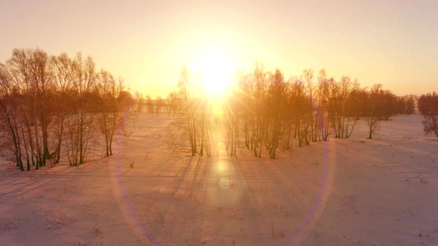 无人机拍摄的北极地区寒冷的冬季景观，树木被霜雪覆盖，清晨的阳光照射在地平线上视频素材