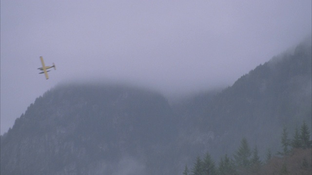 广角黄色水上飞机飞过群山，松树。雾。飞机。森林。视频素材