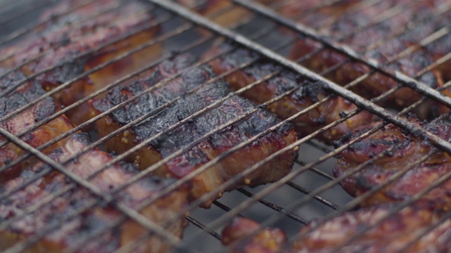 镜头在烧烤架上烤好排骨。美味的肉躺在烧烤网格上。烹饪、食物、烹饪、野炊。视频素材