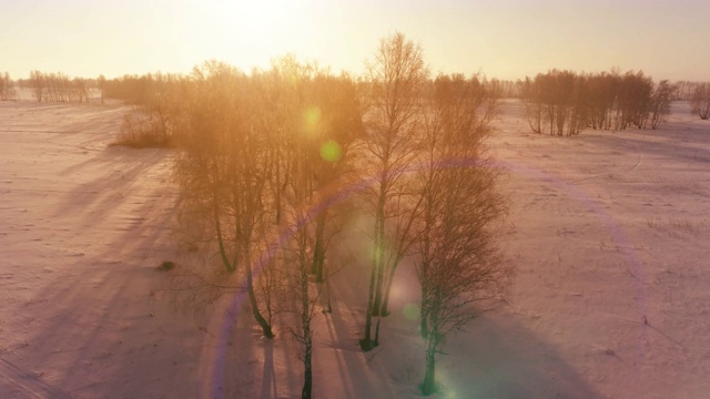 无人机拍摄的北极地区寒冷的冬季景观，树木被霜雪覆盖，清晨的阳光照射在地平线上视频素材