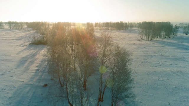 无人机拍摄的北极地区寒冷的冬季景观，树木被霜雪覆盖，清晨的阳光照射在地平线上视频素材