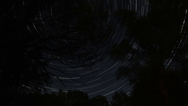 星迹威斯康星州黑暗夜空中累积或连续的星迹时间间隔，星星在中心点附近形成一个圆形图案，地平线上有树的模糊轮廓视频素材