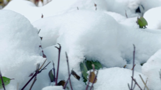 雪的冬天的城市视频素材