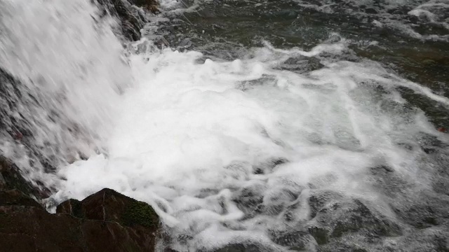 春天森林里的暴风雨瀑布视频素材