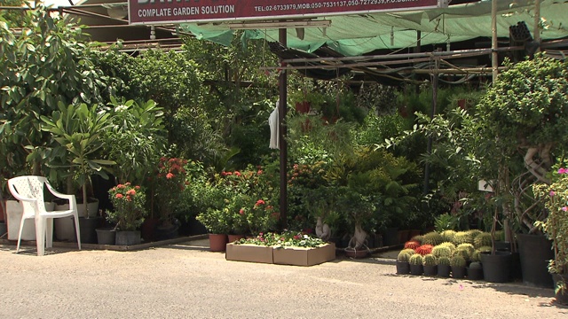 鲜花和植物视频素材