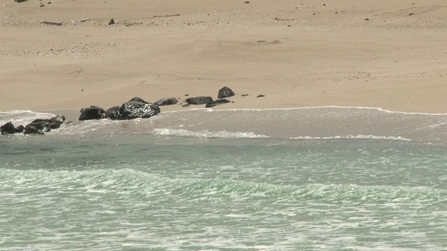 海湾海，迪拜视频素材